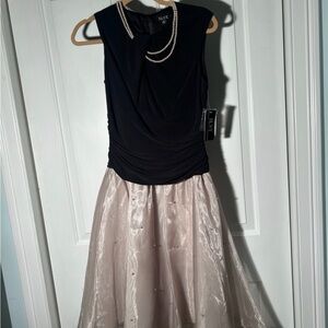 SLNY Black and Cream A-Line Skirt